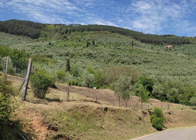 Vai alla scheda: Terreno Agricolo Vendita Buti